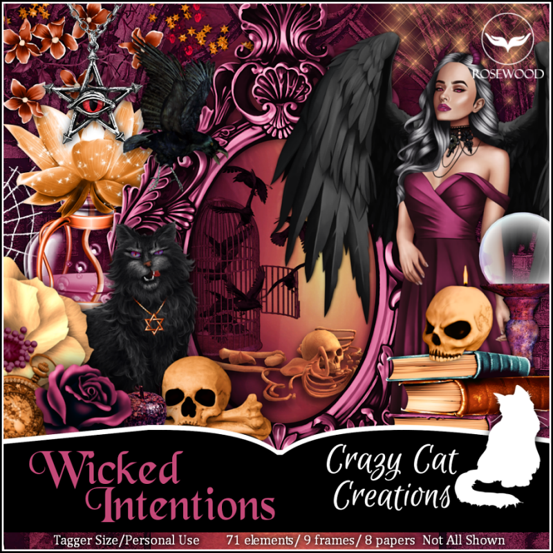 (image for) CCC_Wicked Intentions PU